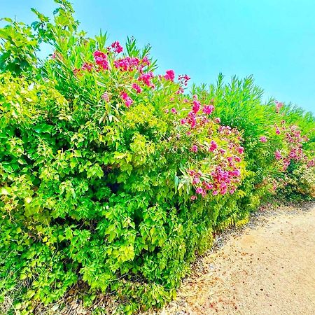 Tetraktys Estate Beachside Υδωρ Agios Matthaios  ภายนอก รูปภาพ