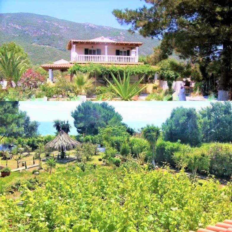 Tetraktys Estate Beachside Υδωρ Agios Matthaios  ภายนอก รูปภาพ