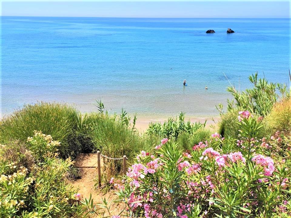 Tetraktys Estate Beachside Υδωρ Agios Matthaios  ภายนอก รูปภาพ