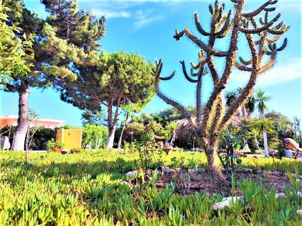Tetraktys Estate Beachside Υδωρ Agios Matthaios  ภายนอก รูปภาพ
