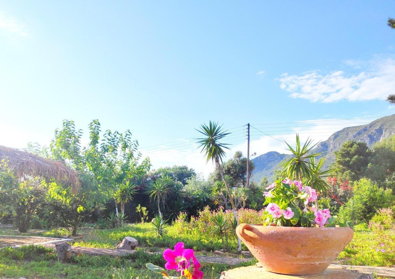 Tetraktys Estate Beachside Υδωρ Agios Matthaios  ภายนอก รูปภาพ