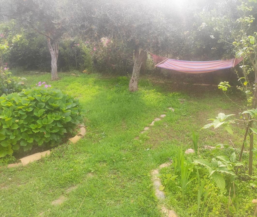 Tetraktys Estate Beachside Υδωρ Agios Matthaios  ภายนอก รูปภาพ