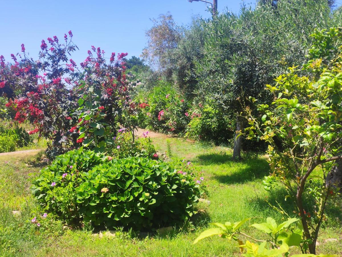Tetraktys Estate Beachside Υδωρ Agios Matthaios  ภายนอก รูปภาพ