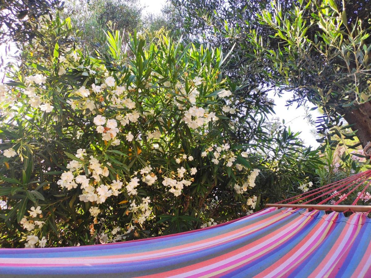 Tetraktys Estate Beachside Υδωρ Agios Matthaios  ภายนอก รูปภาพ