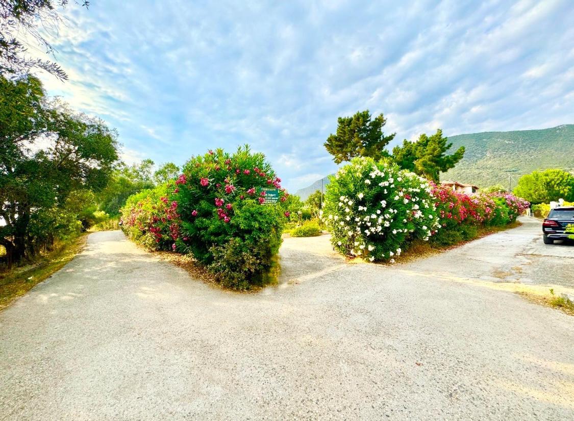 Tetraktys Estate Beachside Υδωρ Agios Matthaios  ภายนอก รูปภาพ