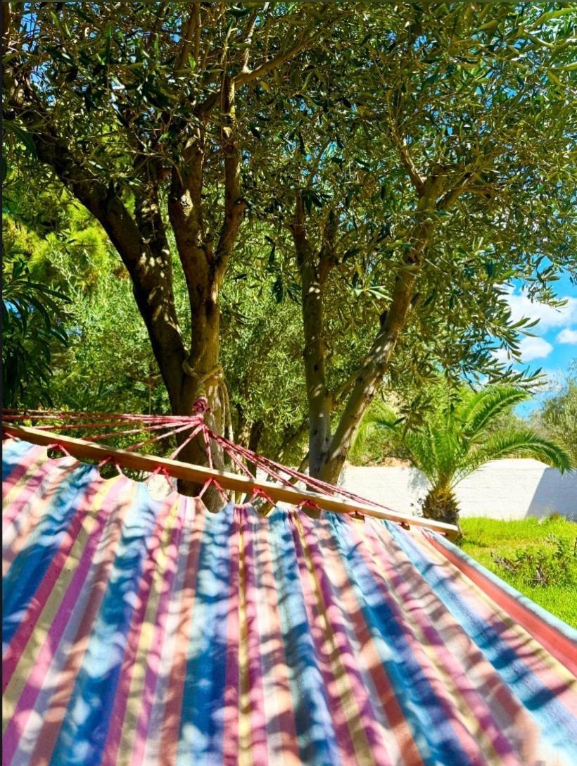 Tetraktys Estate Beachside Υδωρ Agios Matthaios  ภายนอก รูปภาพ