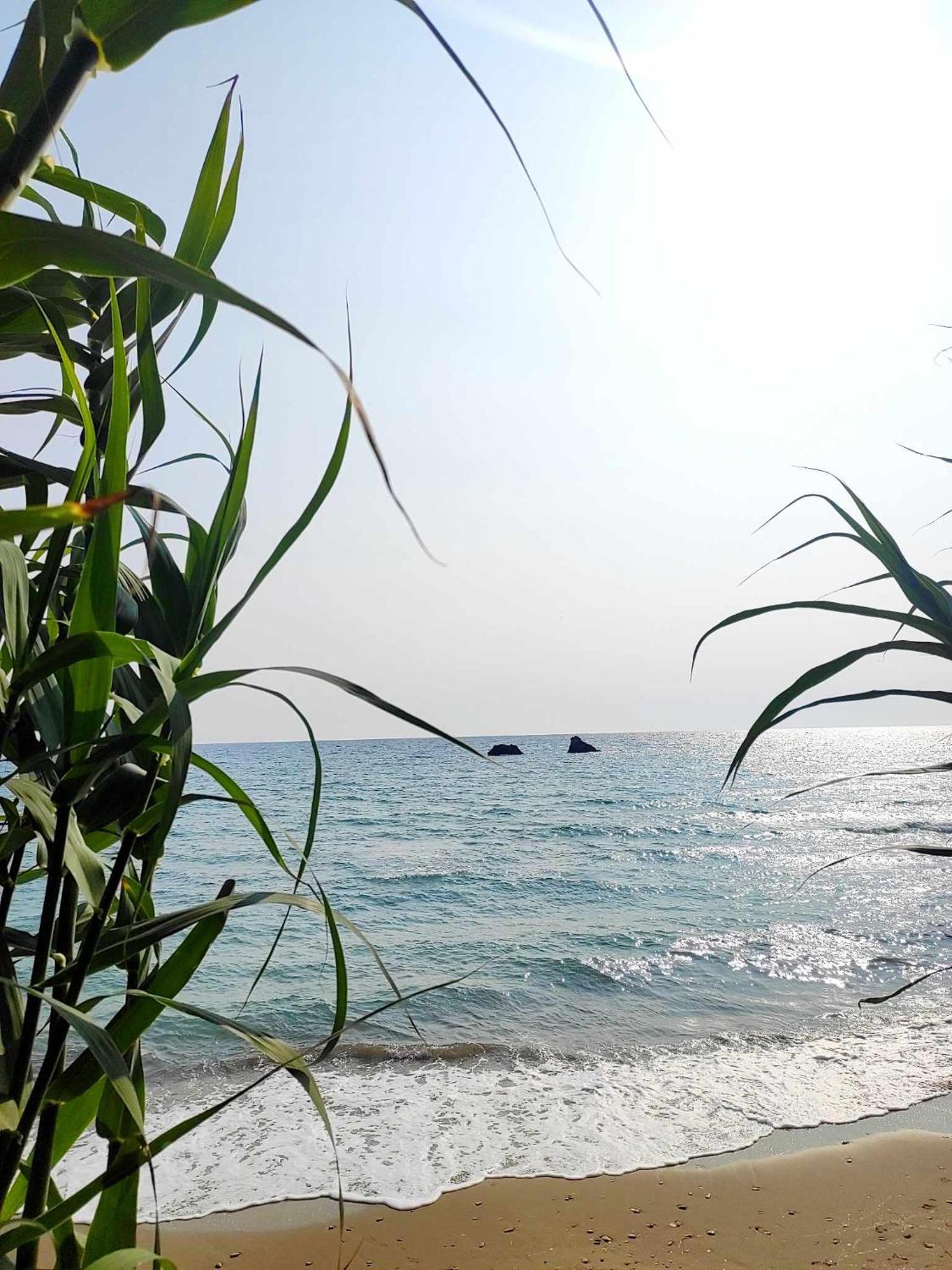 Tetraktys Estate Beachside Υδωρ Agios Matthaios  ภายนอก รูปภาพ