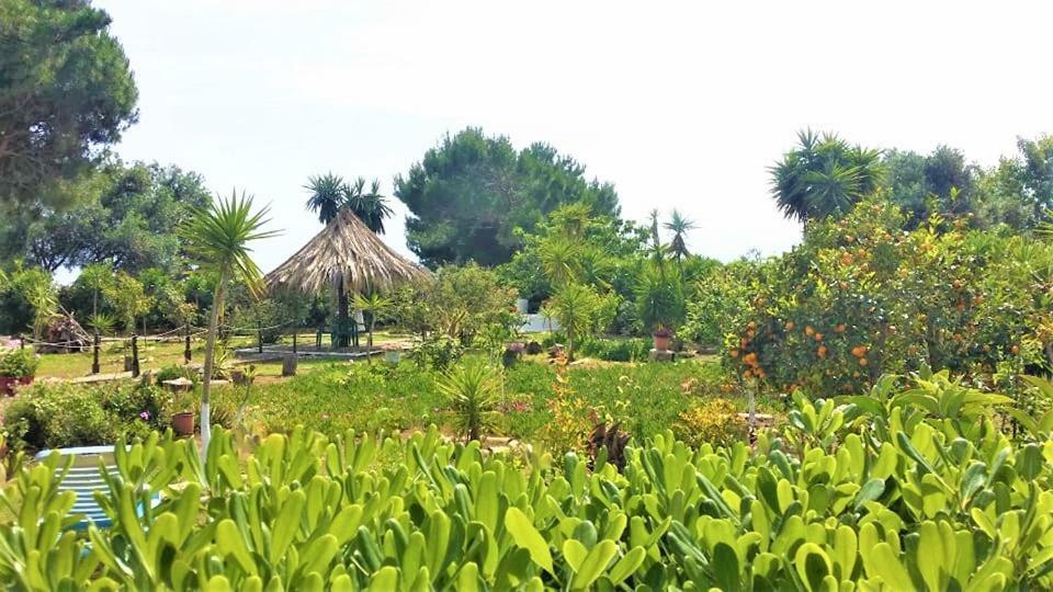 Tetraktys Estate Beachside Υδωρ Agios Matthaios  ภายนอก รูปภาพ